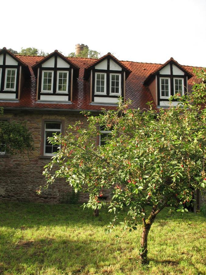 Gastehaus Felsenmuhle Im Tal Hotel Neuleiningen Bilik gambar